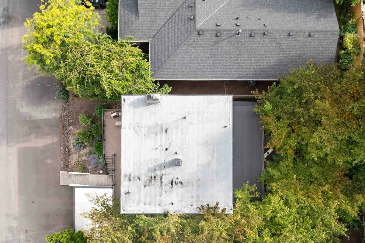 A scenic view over rooftops, surrounded by mature trees and neighboring houses, suggesting a quiet and picturesque neighborhood. The image evokes the experience of sipping morning coffee with a view or setting out to explore local cafés and boutiques nearby.